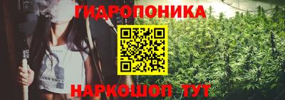 стаф Гусиноозёрск